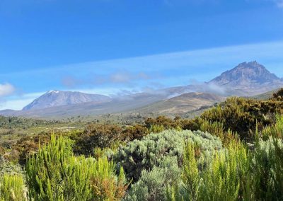 Kilimanjaro Trekking Marangu Route Day Trip