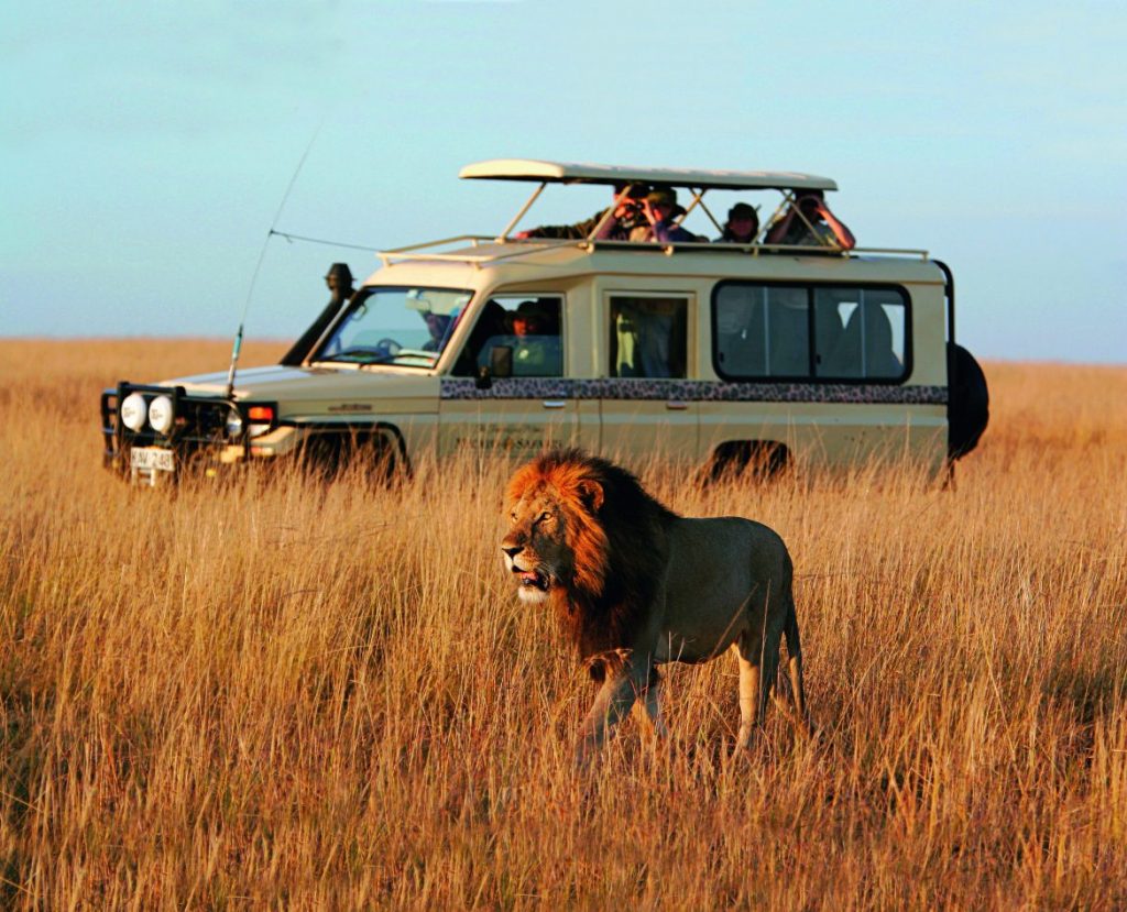 4x4 safari car