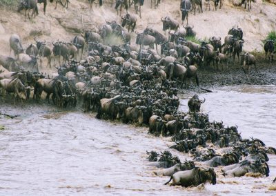 9 Days Lodges Safari to Kenya and Tanzania